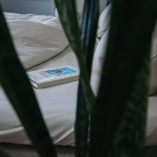 Klassisches Fixleintuch - SALE